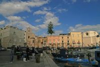 Trani