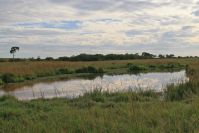 Ein "Spiegelteich" - Wasser gibt es immer irgendwo: Die Mara ist immergrün