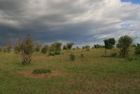 Ein Gewitter braut sich zusammen - noch fahren wir ihm davon