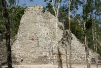 Cobá