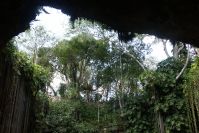 Cenote